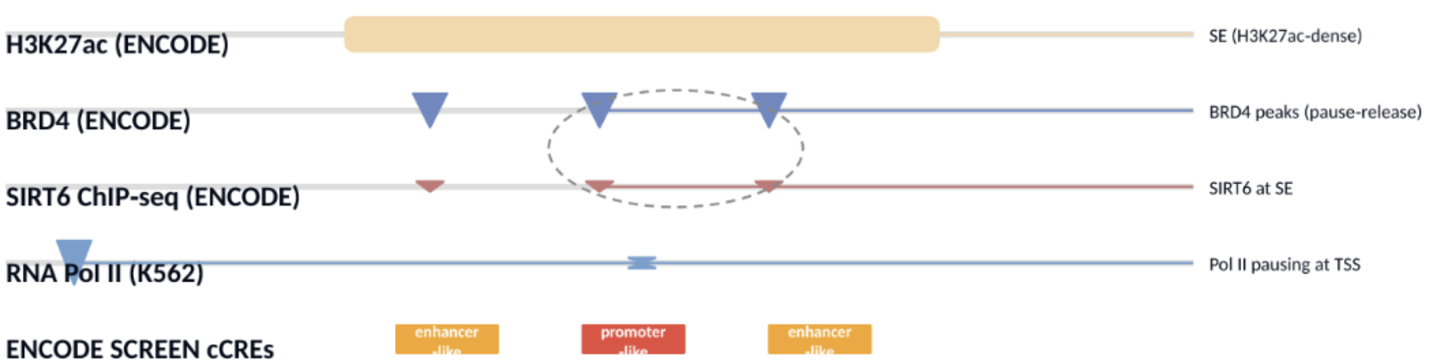 Genome browser tracks showing regulatory data